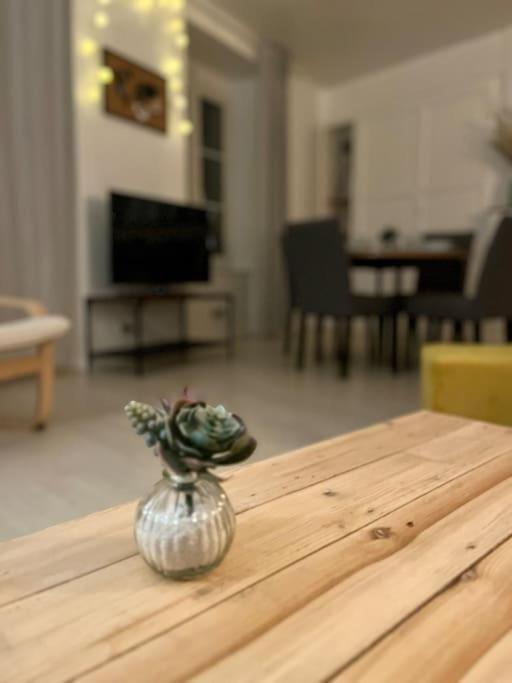 Appartement - Centre Ville Historique - Avec Vue Aurillac Esterno foto